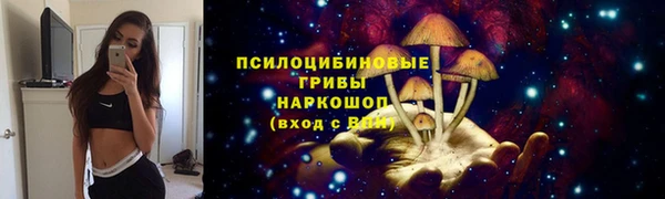 Альфа ПВП Баксан