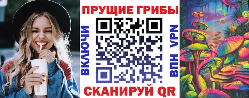 Псилоцибиновые грибы Psilocybe  ссылка на мегу ссылки  Плёс 